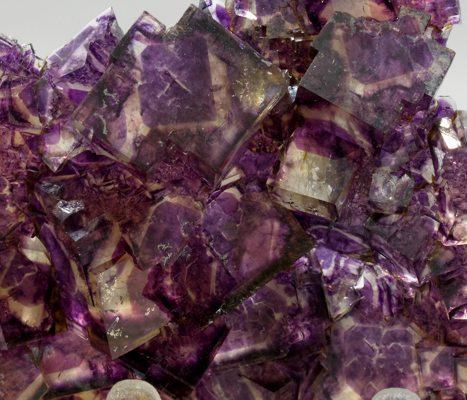 specimens/s_imagesR3/Fluorite-TR51R3d2.jpg