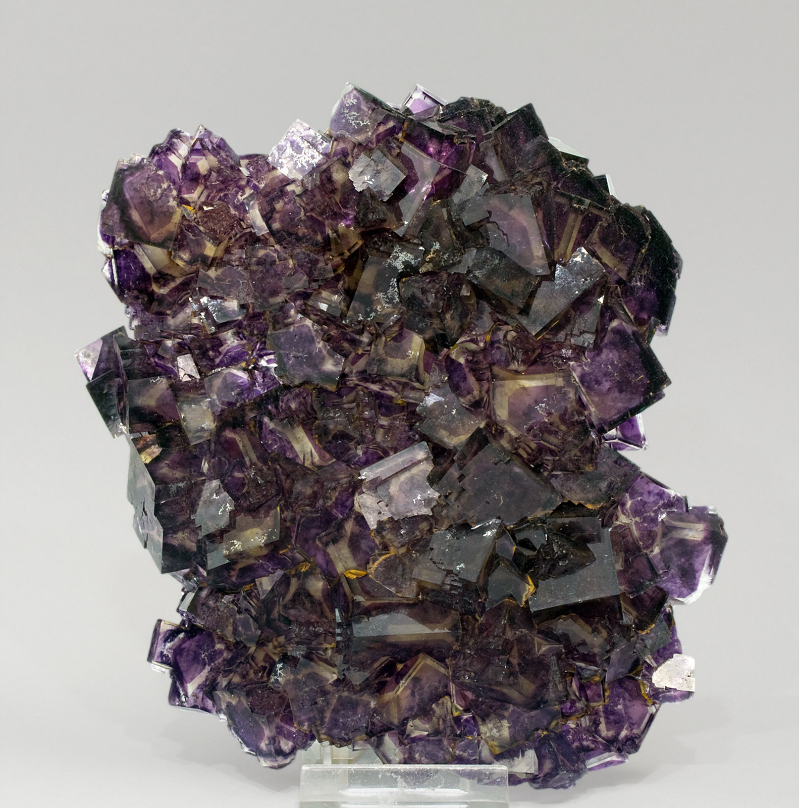 specimens/s_imagesR3/Fluorite-TR51R3f.jpg