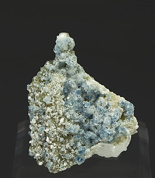 Fluorapatite with Bertrandite, Albite, Muscovite and Quartz. 