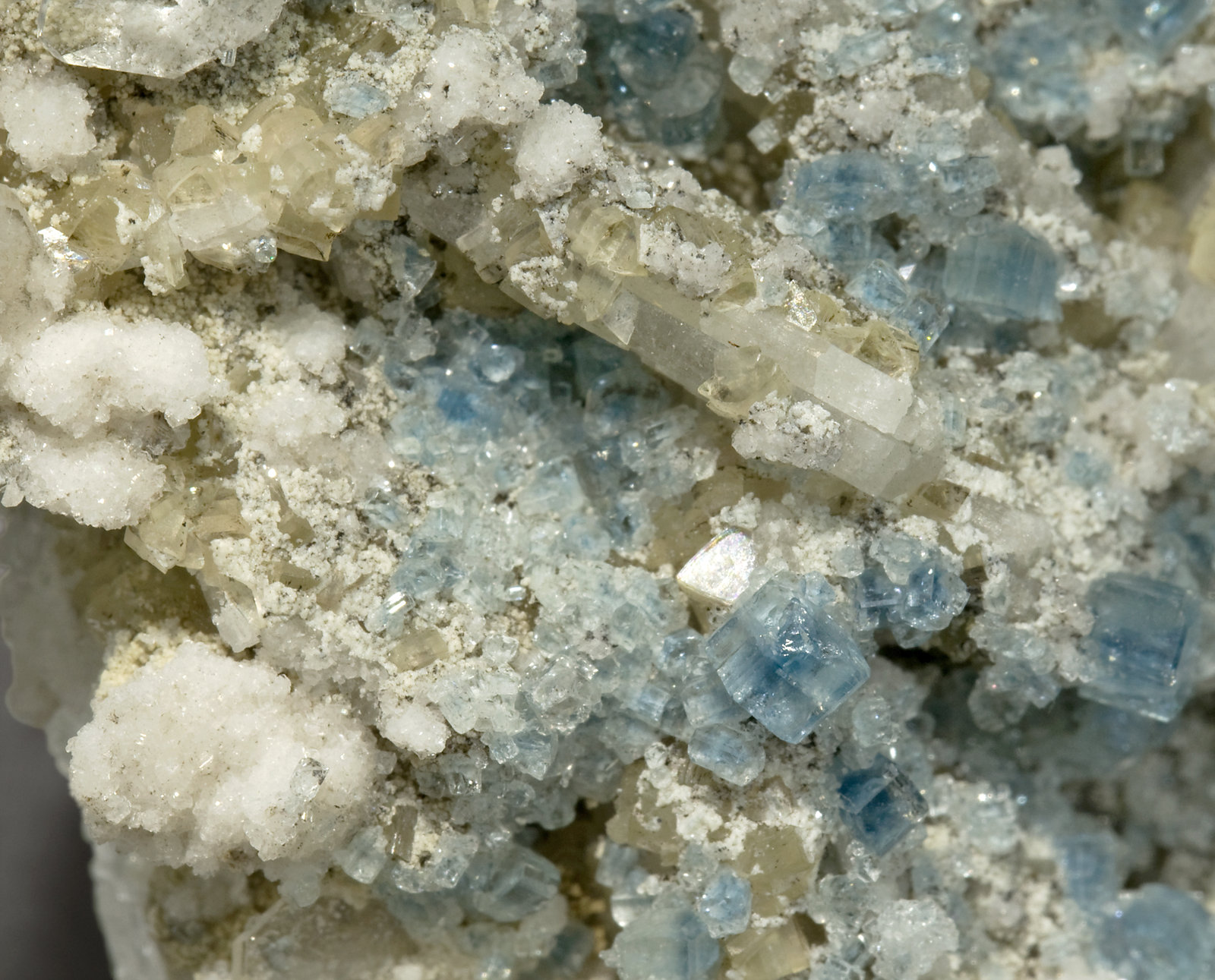 specimens/s_imagesR4/Fluorapatite-ED6R4d.jpg