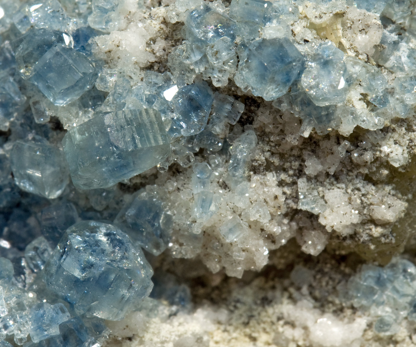 specimens/s_imagesR4/Fluorapatite-EE63R4d.jpg