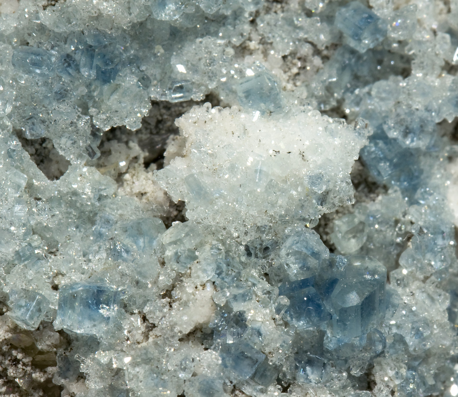 specimens/s_imagesR4/Fluorapatite-EL14R4d.jpg