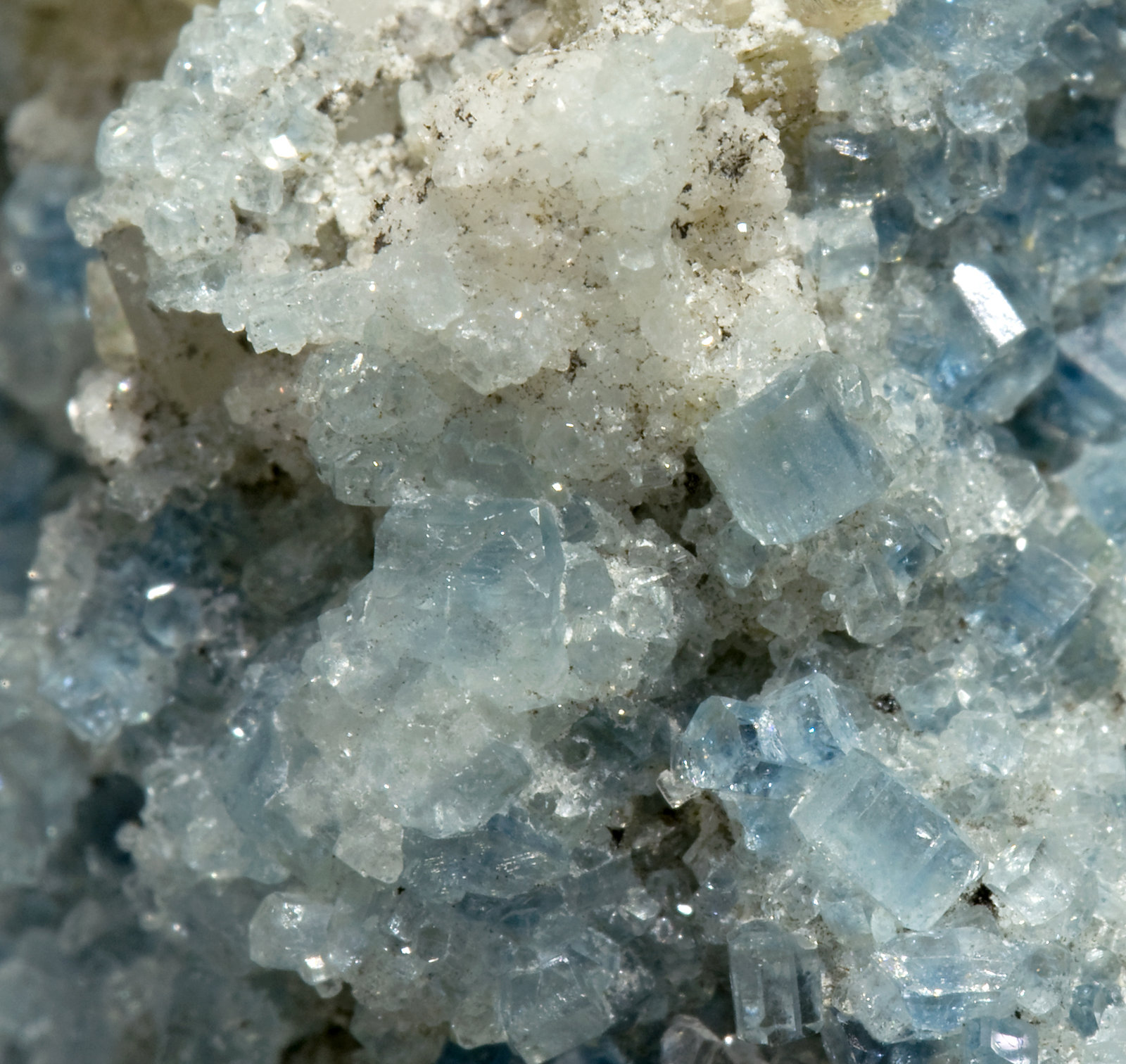 specimens/s_imagesR4/Fluorapatite-ET6R4d.jpg