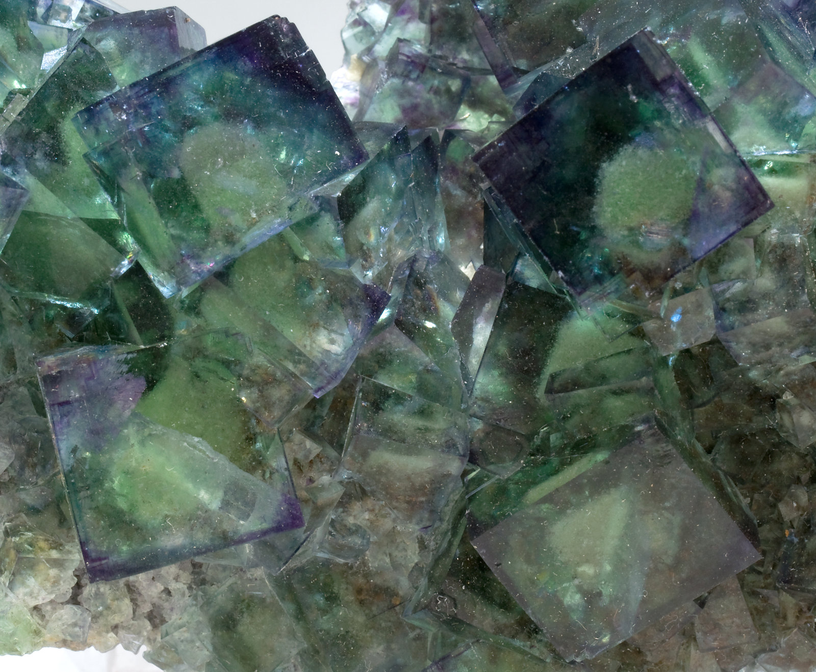 specimens/s_imagesR5/Fluorite-MR96R5d.jpg