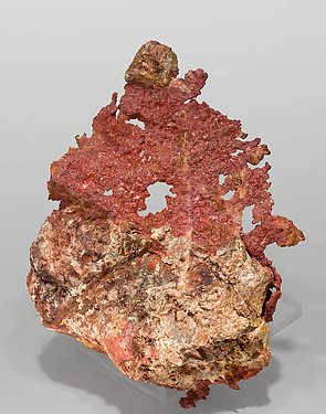 Cuprita (Calcotriquita) con Cobre nativo. Vista posterior