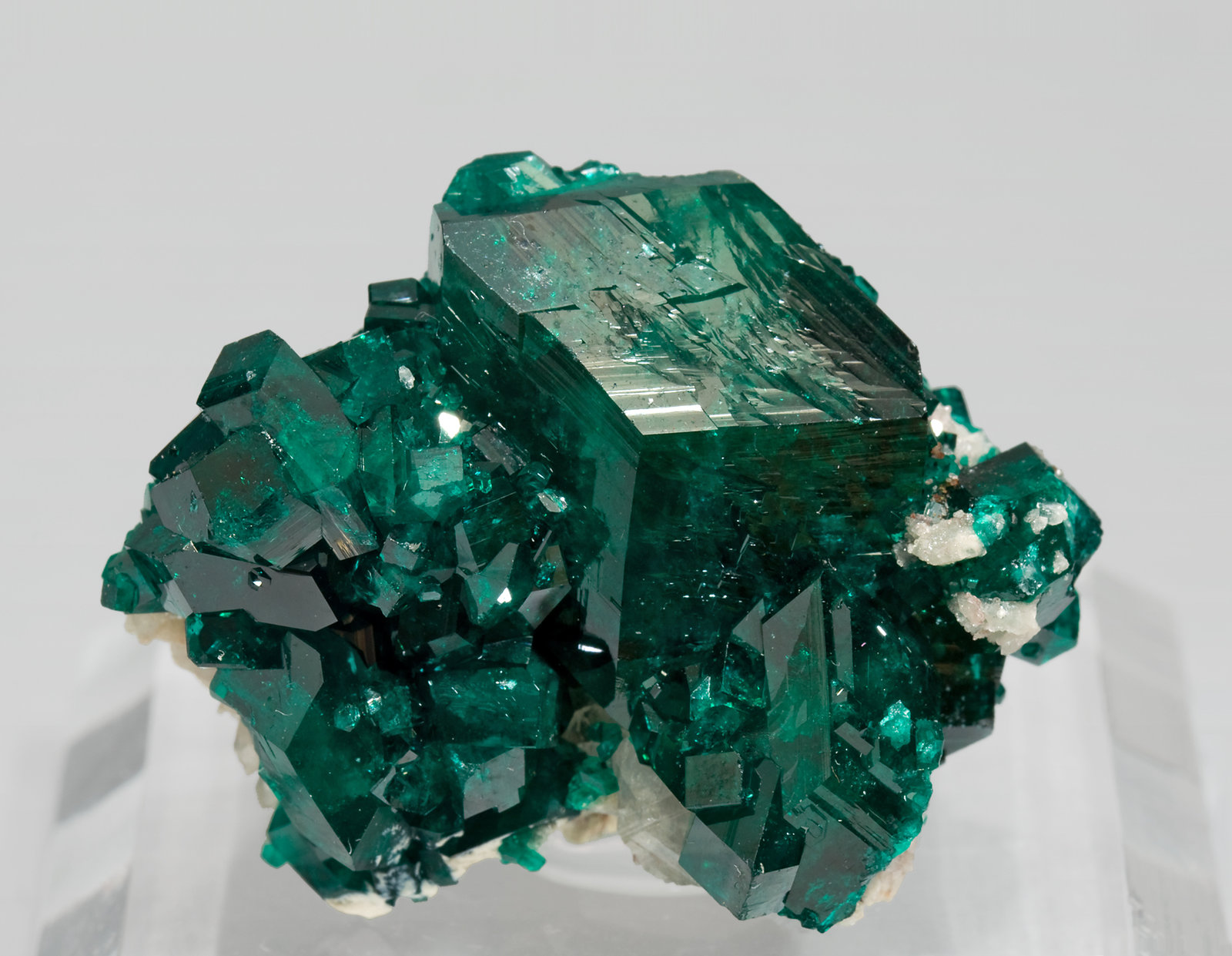 specimens/s_imagesR6/Dioptase-MK16R6f.jpg