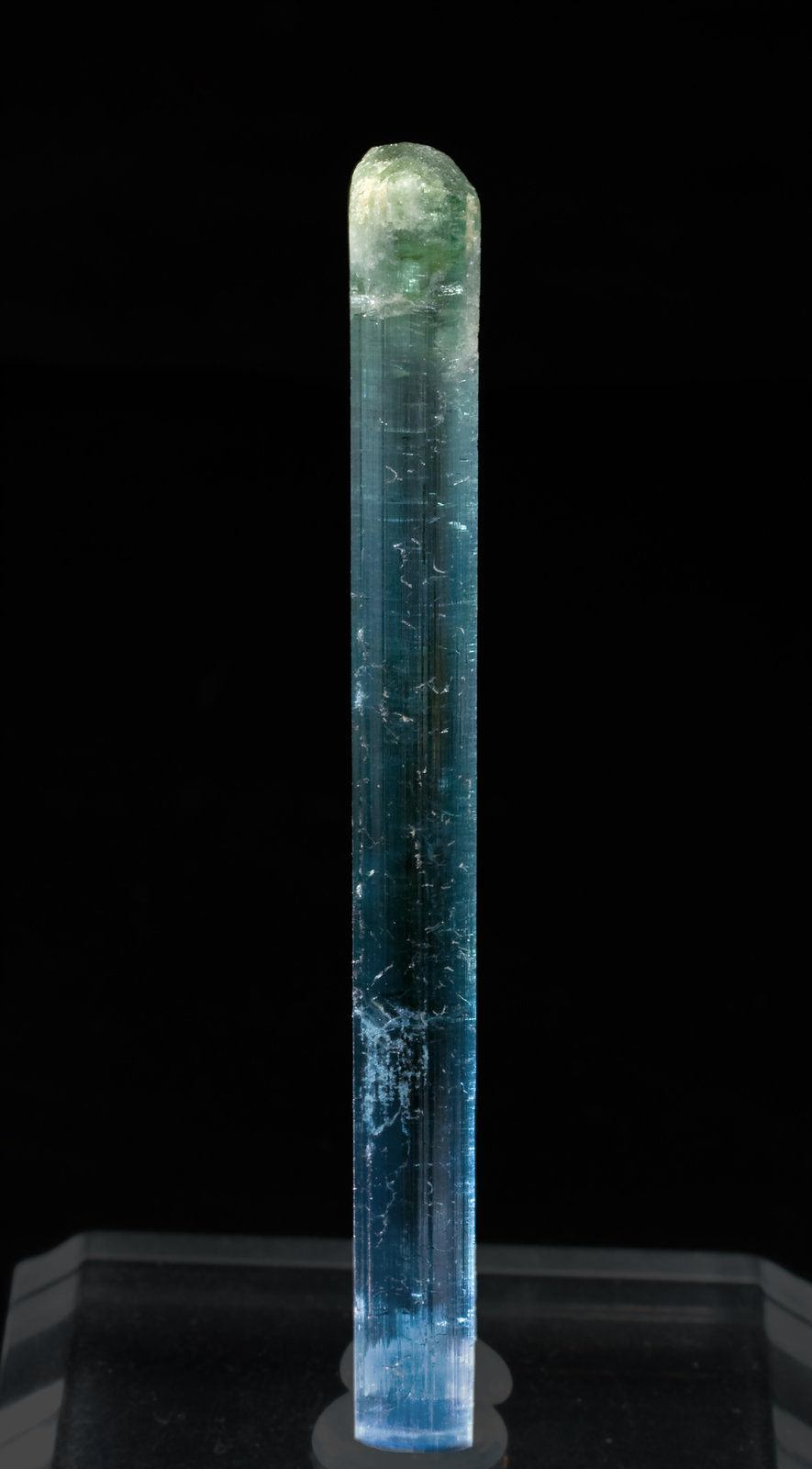 specimens/s_imagesR6/Elbaite_Indicolite-RR96R6.jpg