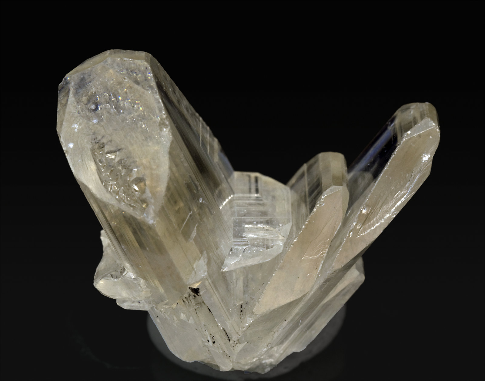 specimens/s_imagesR8/Cerusite-TP76R8s.jpg