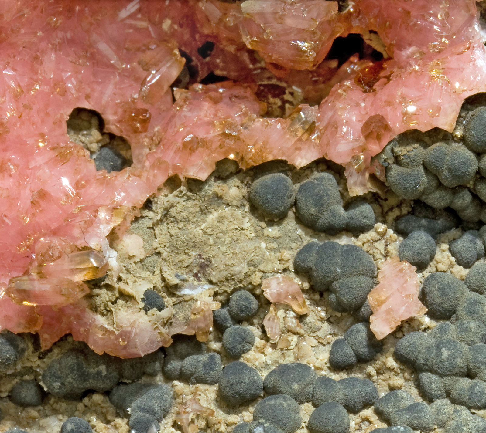 specimens/s_imagesR8/Rhodochrosite-MF50R8d2.jpg