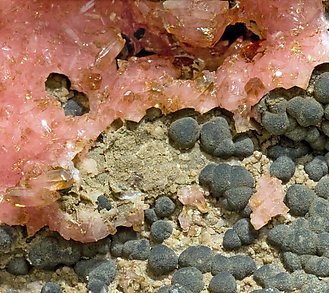 Rhodochrosite with Gonyerite and Shigaite. 