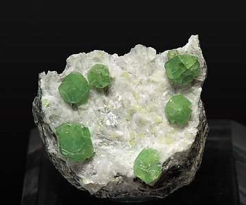 Andradite with Pectolite.