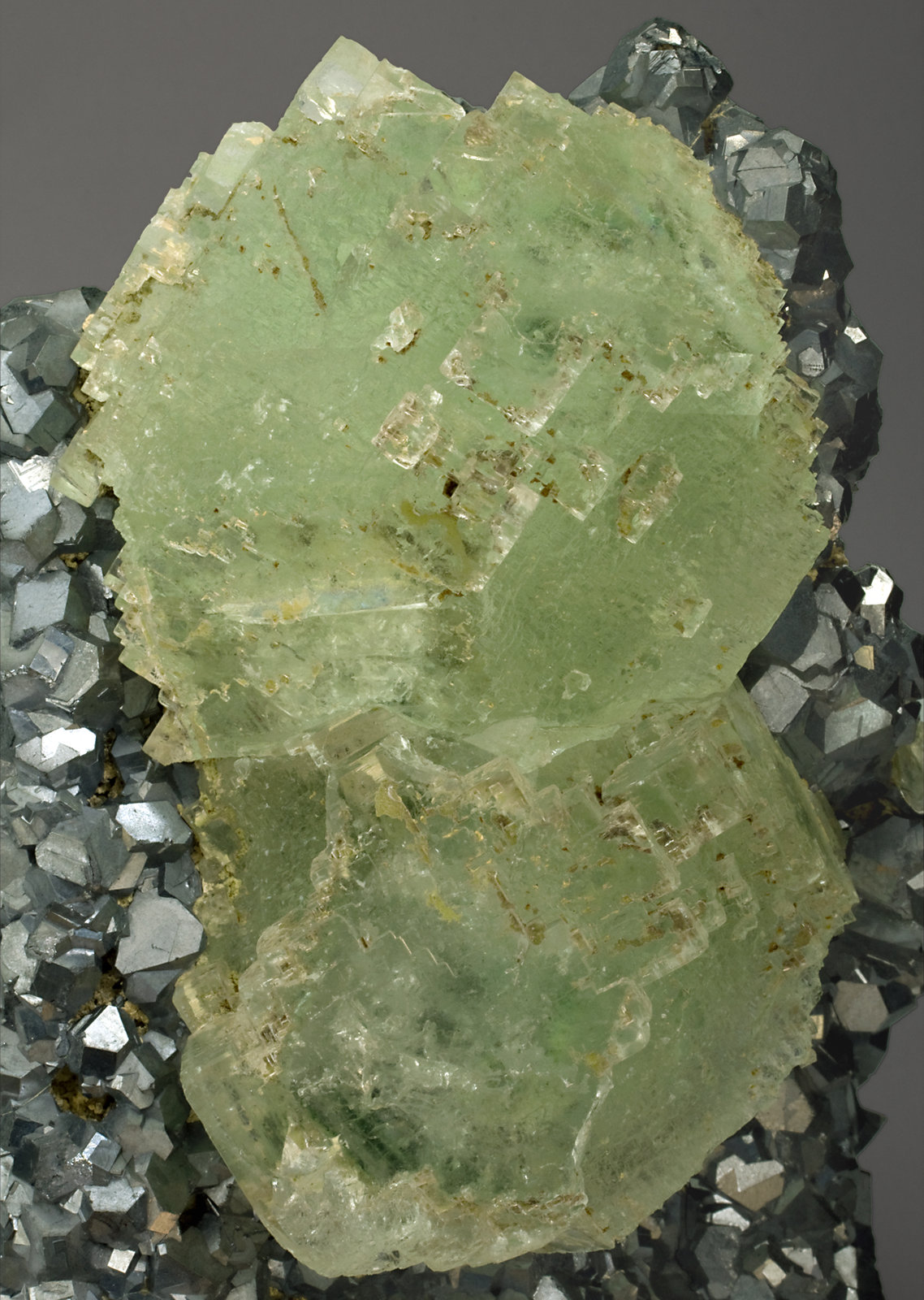 specimens/s_imagesR9/Fluorite-TP86R9d.jpg