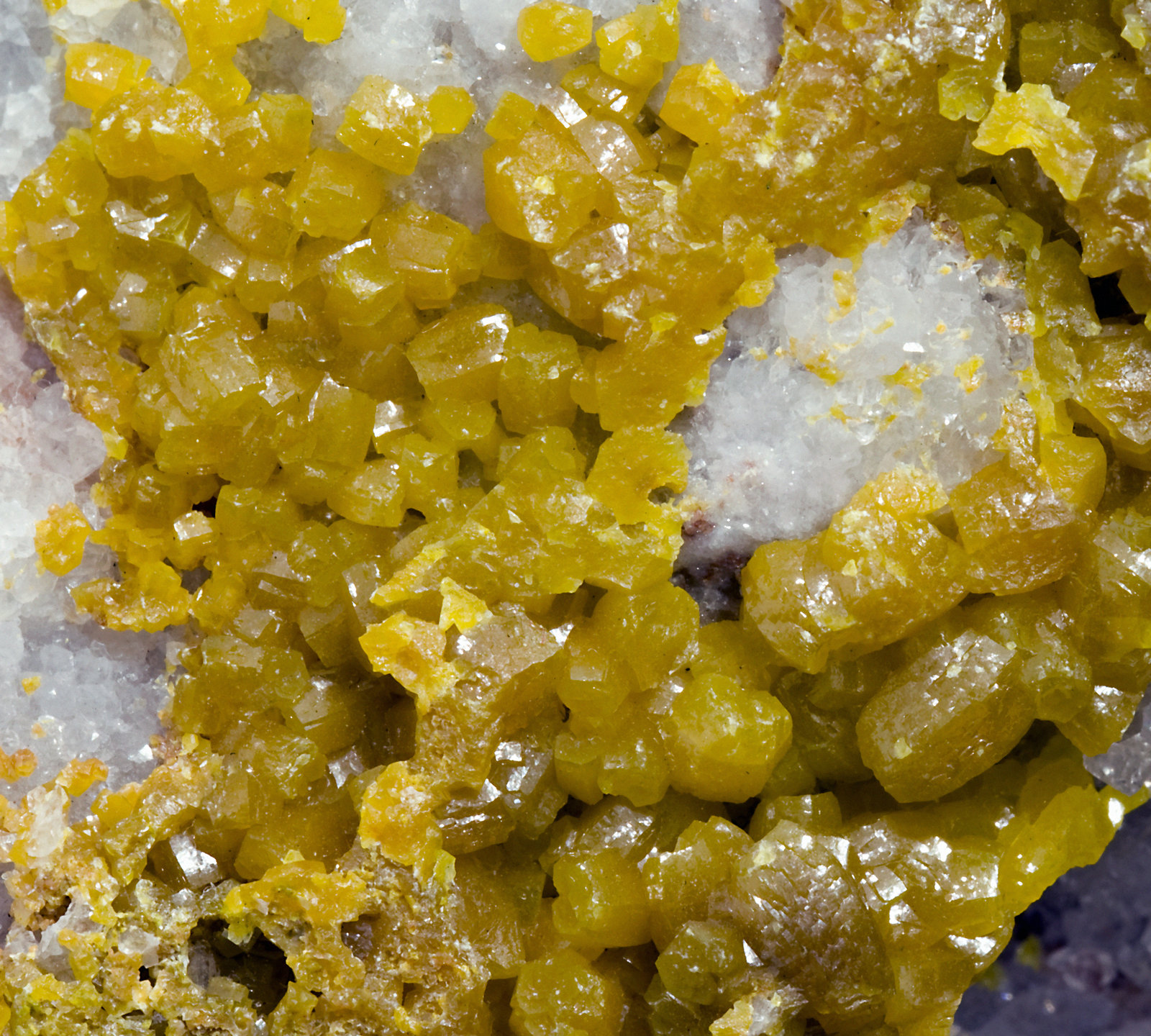 specimens/s_imagesR9/Pyromorphite-ML96R9d.jpg