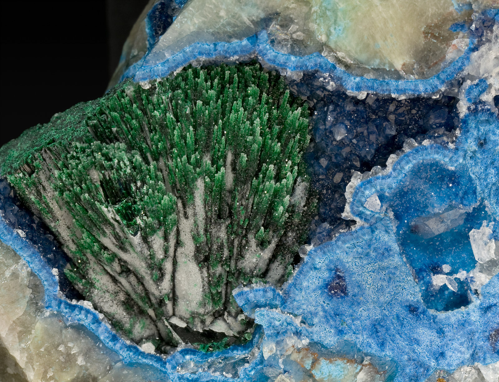 specimens/s_imagesR9/Shattuckite-TQ27R9d.jpg