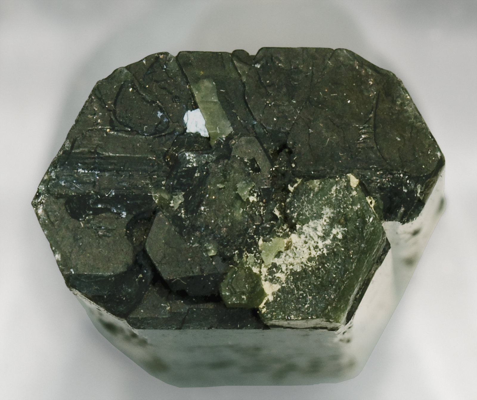 specimens/s_imagesR9/Tremolite-GB16R9t.jpg