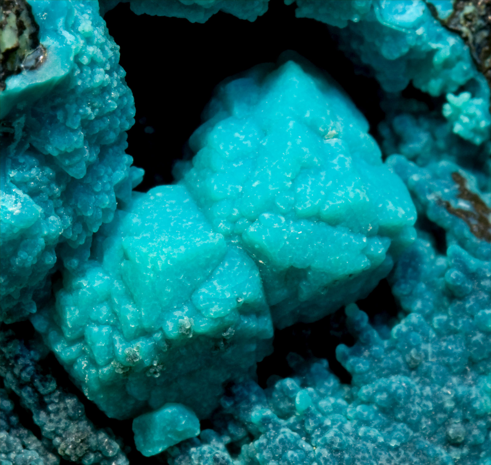 specimens/s_imagesS0/Chrysocolla_after_Boleite-TP27S0d.jpg