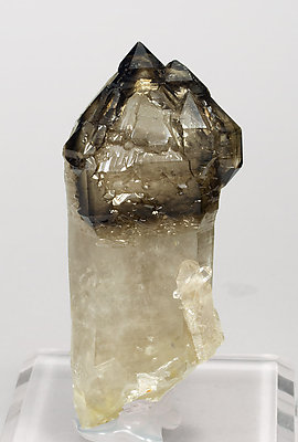 Sceptered smoky Quartz.