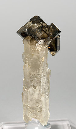 Sceptered smoky Quartz. Rear