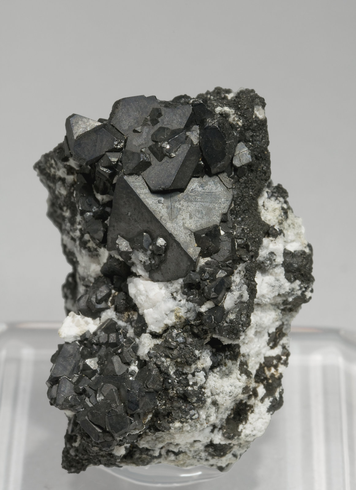 specimens/s_imagesS1/Alabandite-TX17S1f.jpg