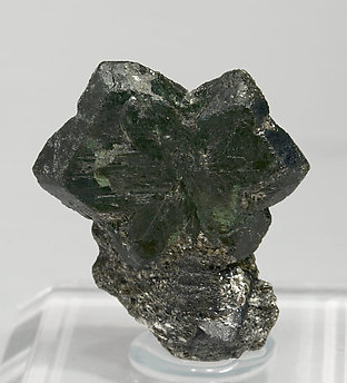 Twinned Chrysoberyl (variety alexandrite). Front - neon light (day light)