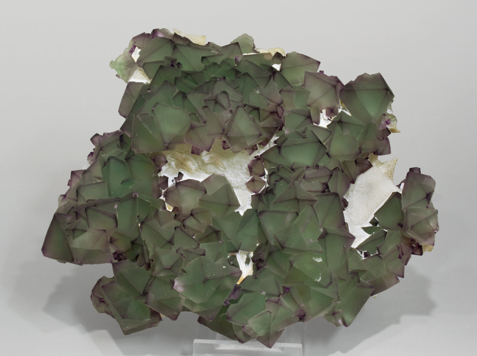 specimens/s_imagesS1/Fluorite-MM77S1f.jpg