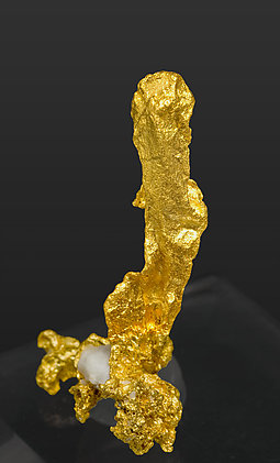 Oro con Cuarzo. Vista lateral