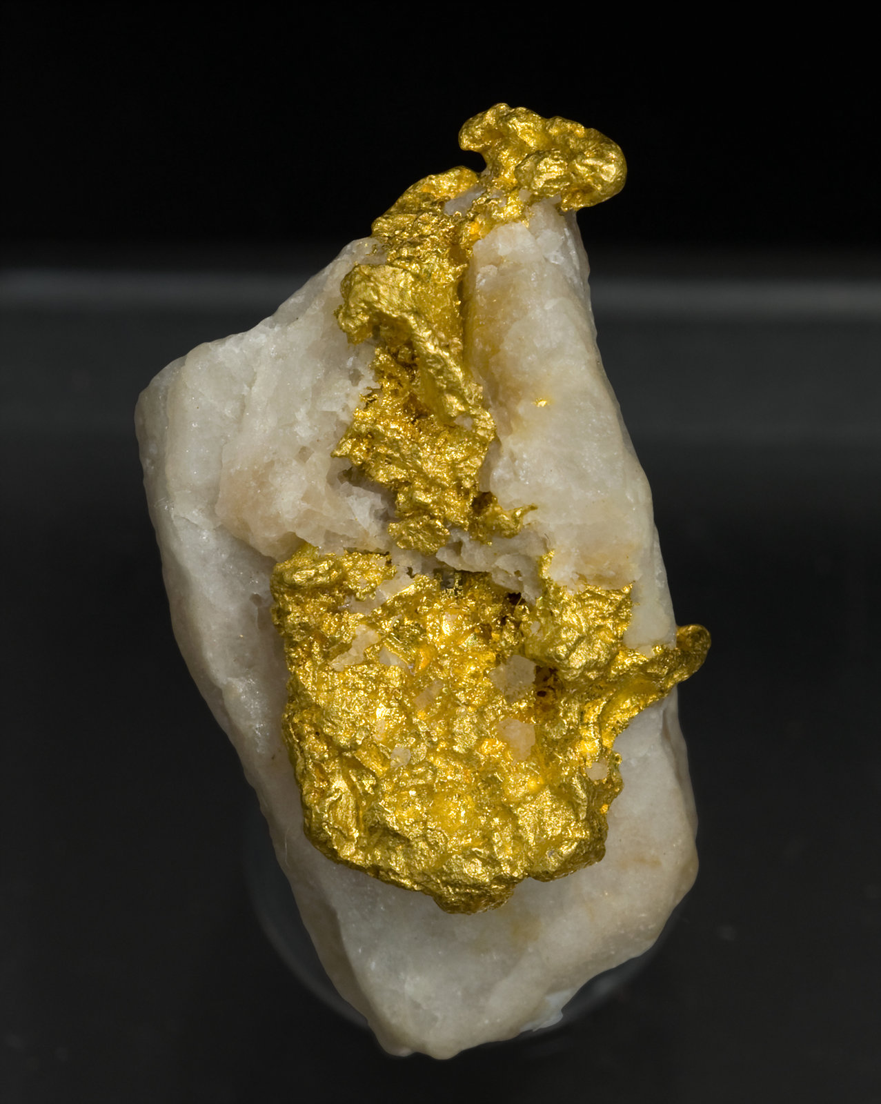 specimens/s_imagesS1/Gold-MJ98S1t.jpg