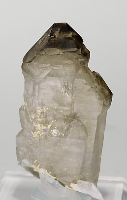 Sceptered smoky Quartz. Rear