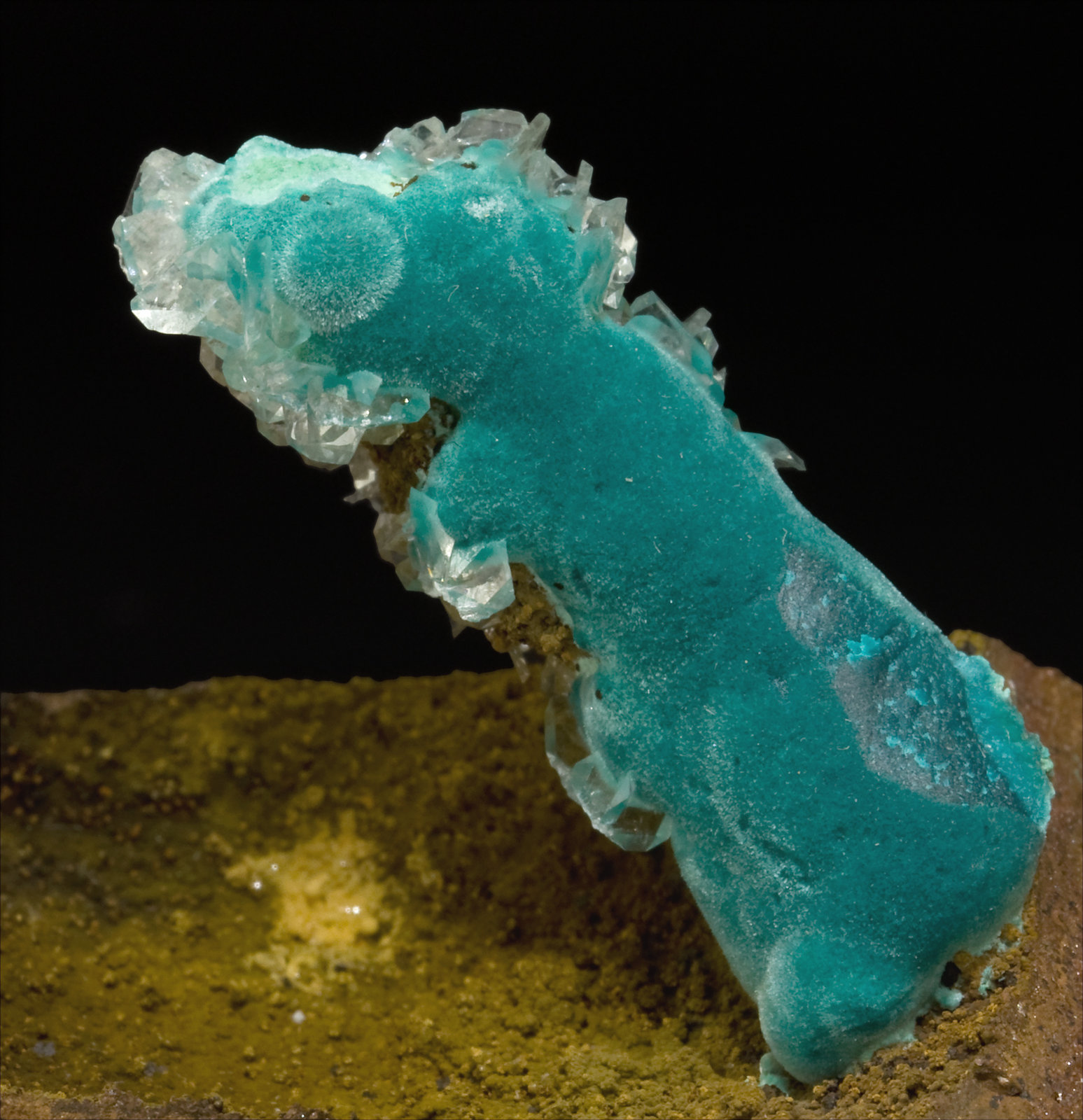 specimens/s_imagesS1/Rosasite-TH76S1d.jpg