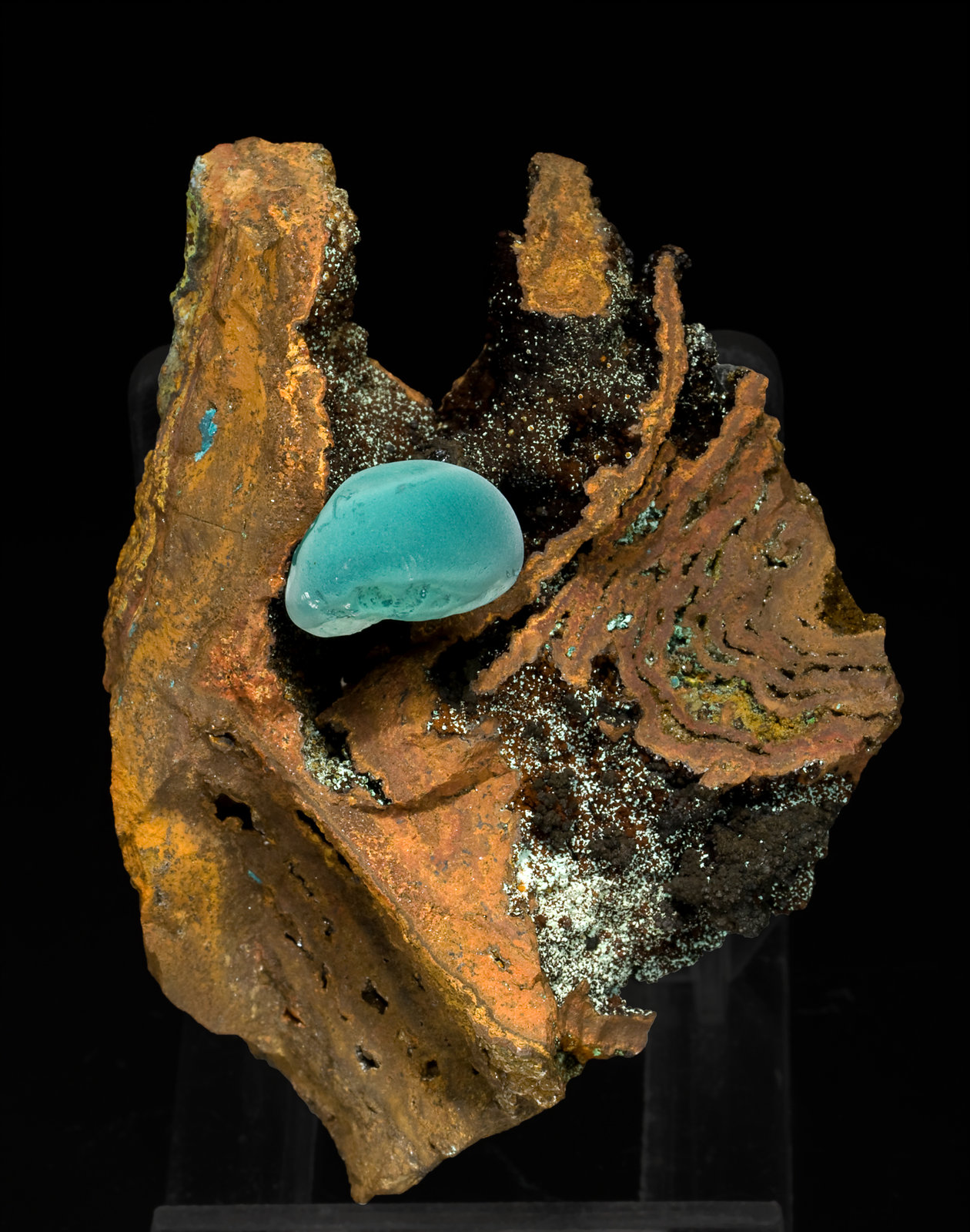 specimens/s_imagesS2/Rosasite-TX64S2f.jpg