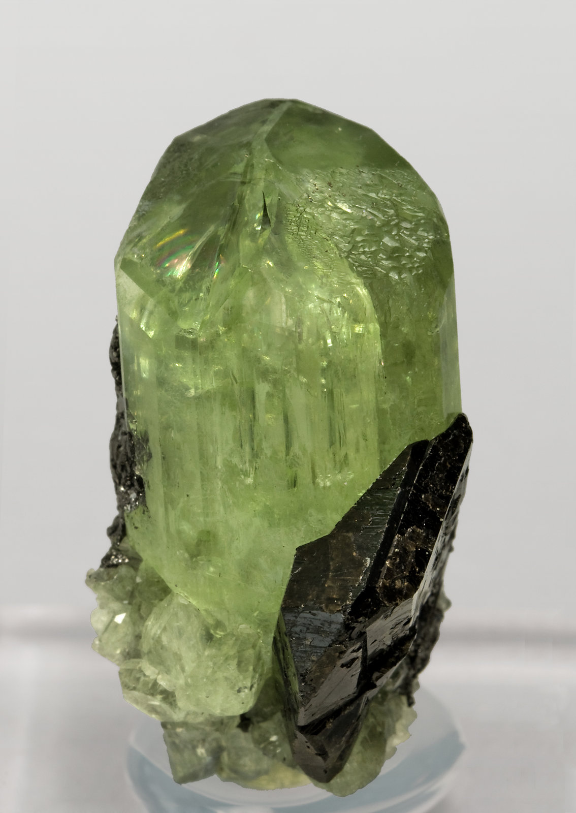 specimens/s_imagesS3/Diopside-TH26S3f.jpg