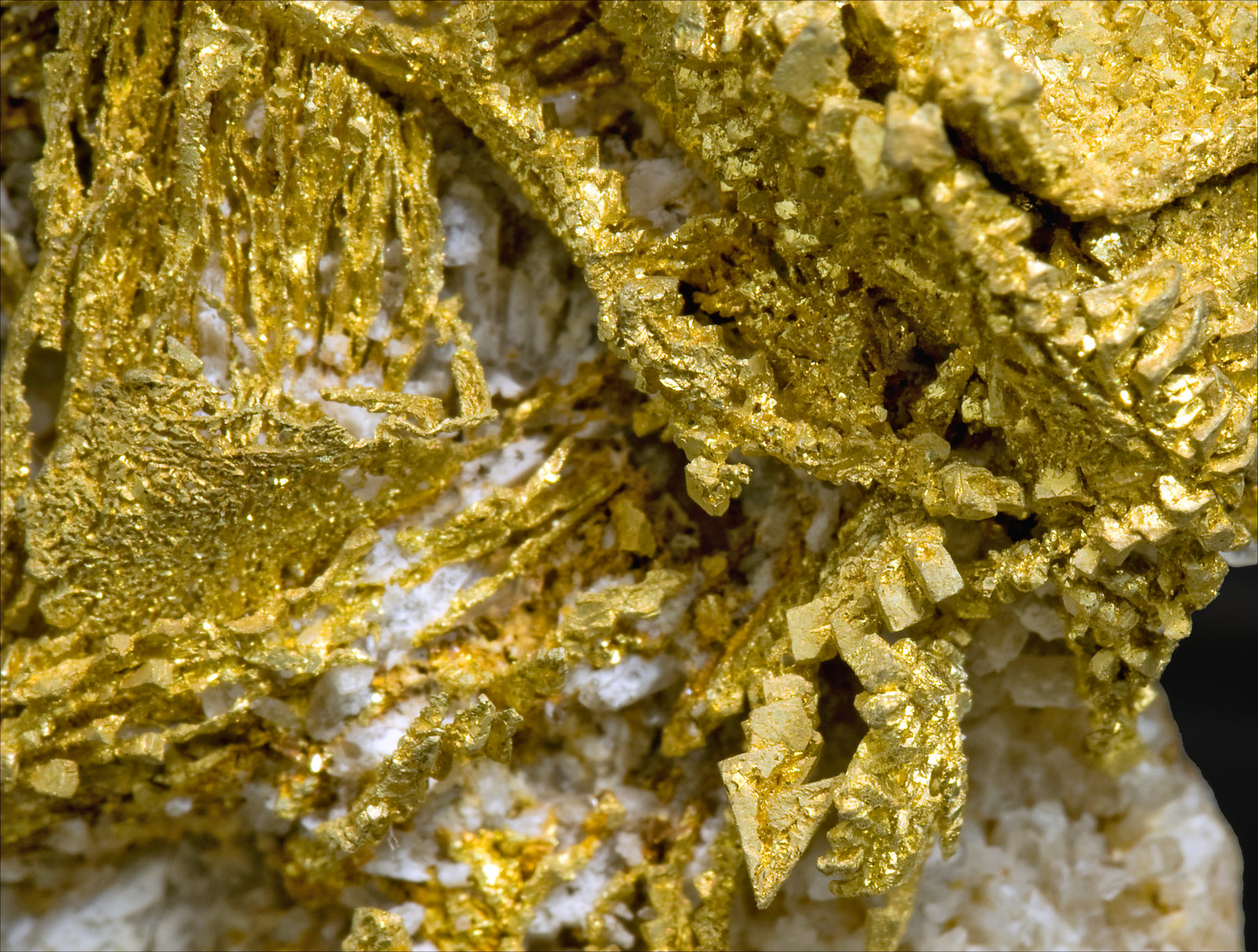 specimens/s_imagesS3/Gold-TJ96S3d.jpg