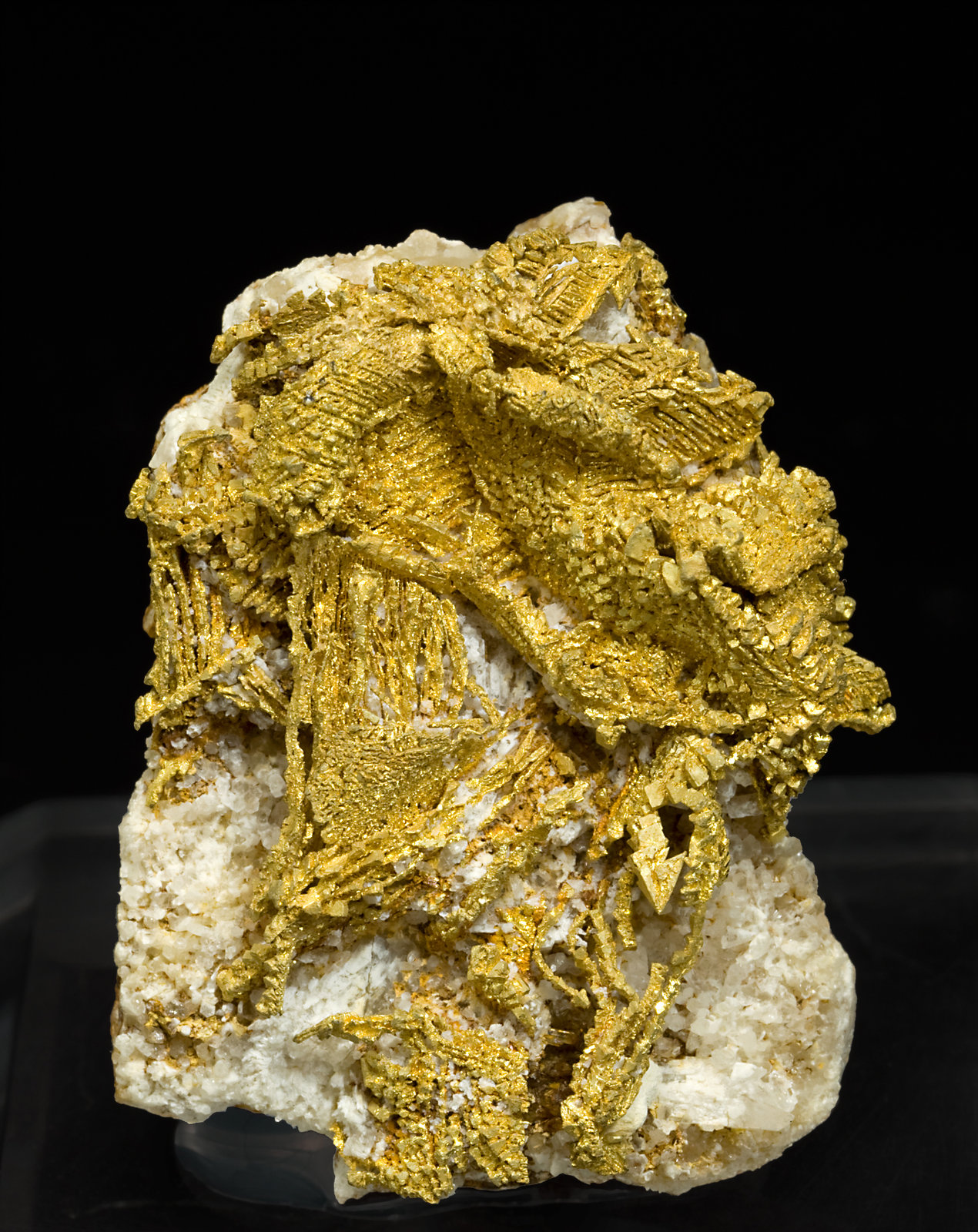 specimens/s_imagesS3/Gold-TJ96S3f.jpg