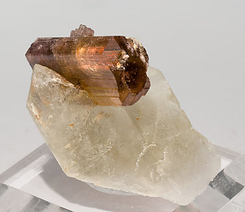 Tourmaline (Group) with smoky Quartz. Front