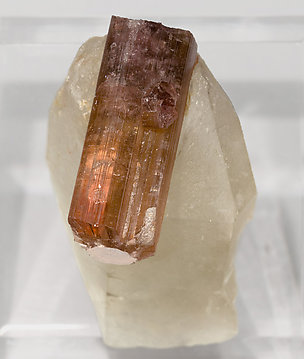 Tourmaline (Group) with smoky Quartz. Top