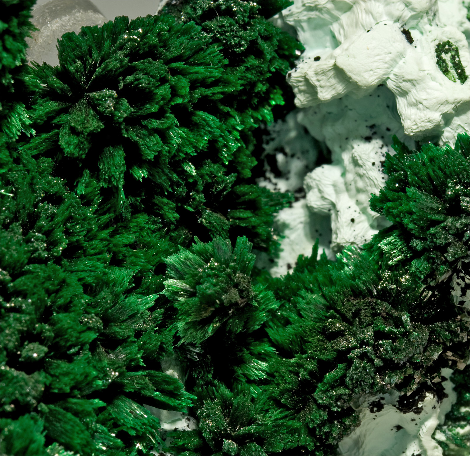 specimens/s_imagesS3/Malachite-MX66S3d.jpg