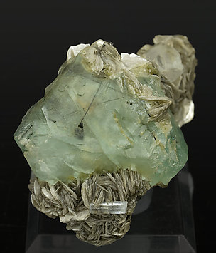 Octahedral Fluorite with Muscovite, Schorl, Fluorapatite and Beryl.