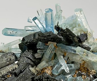 Schorl with Beryl (Aquamarine). 