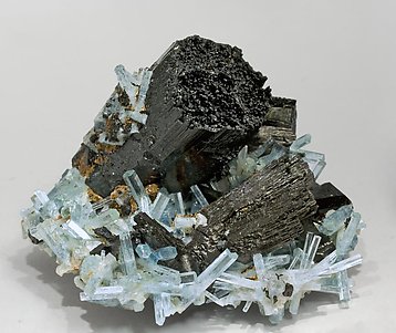 Schorl with Beryl (Aquamarine).