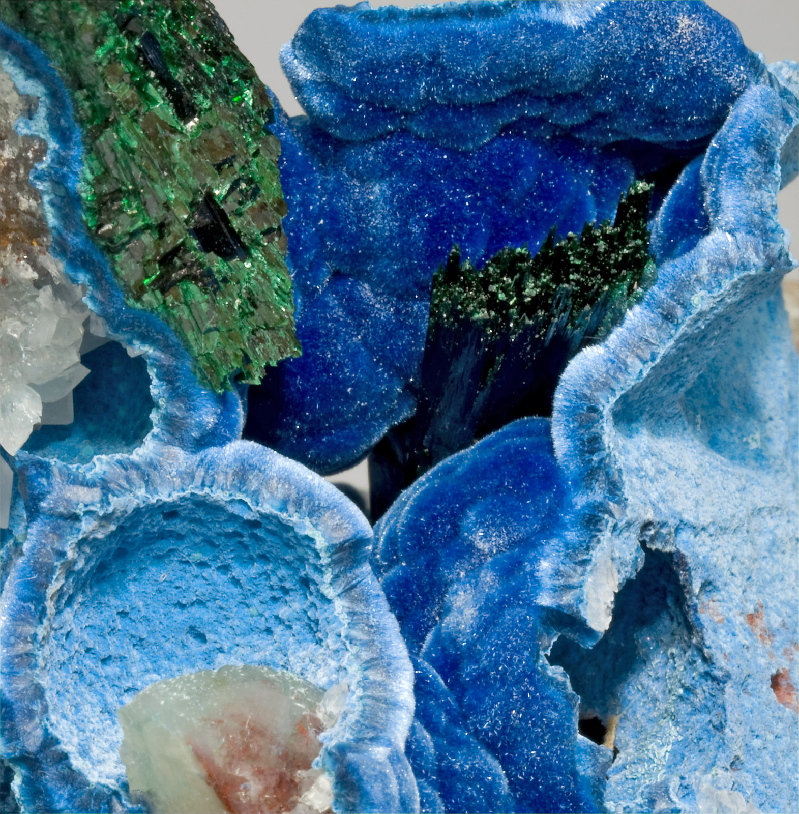 specimens/s_imagesS5/Shattuckite-TH89S5d2.jpg