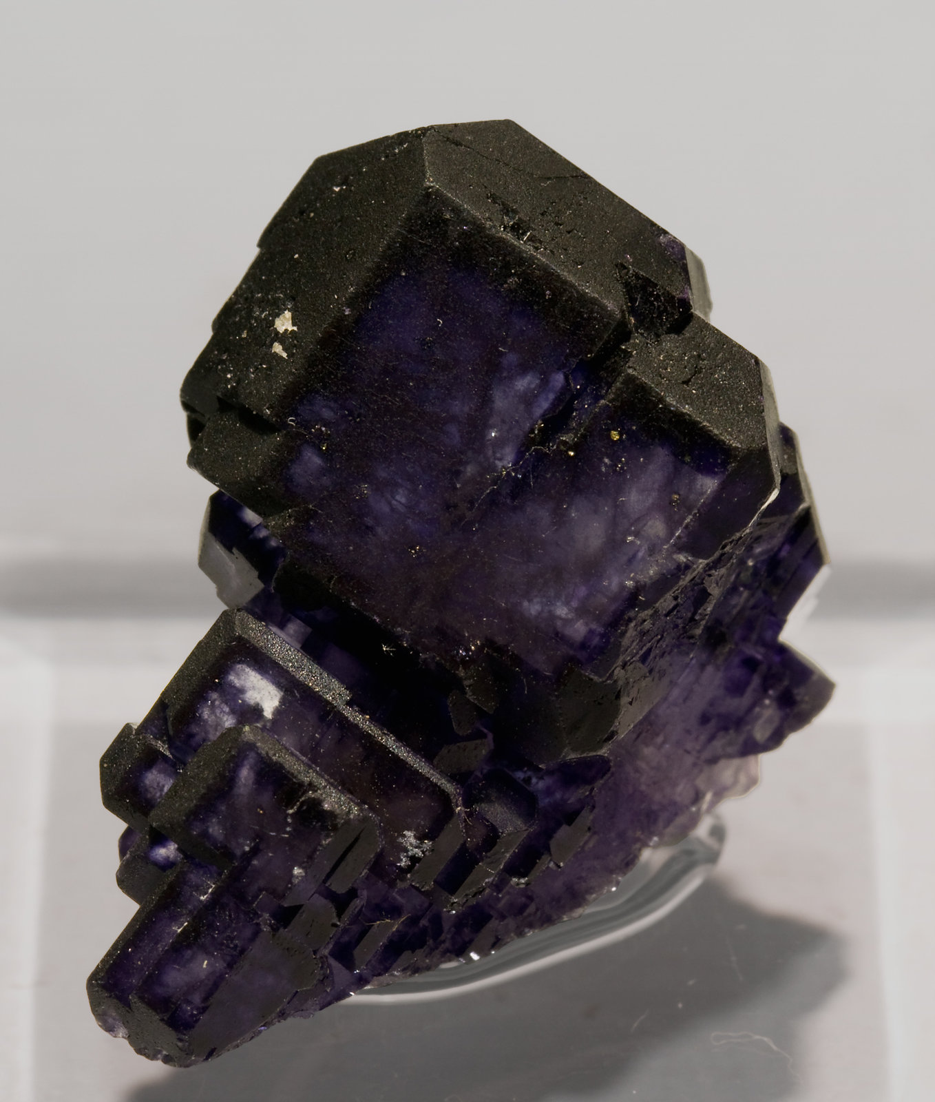 specimens/s_imagesS6/Fluorite-X56RS6.jpg