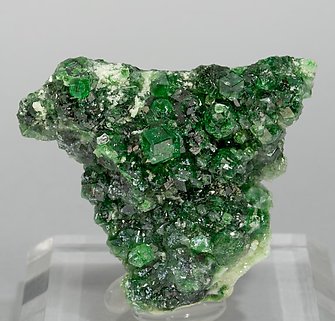 Andradite with Pectolite.