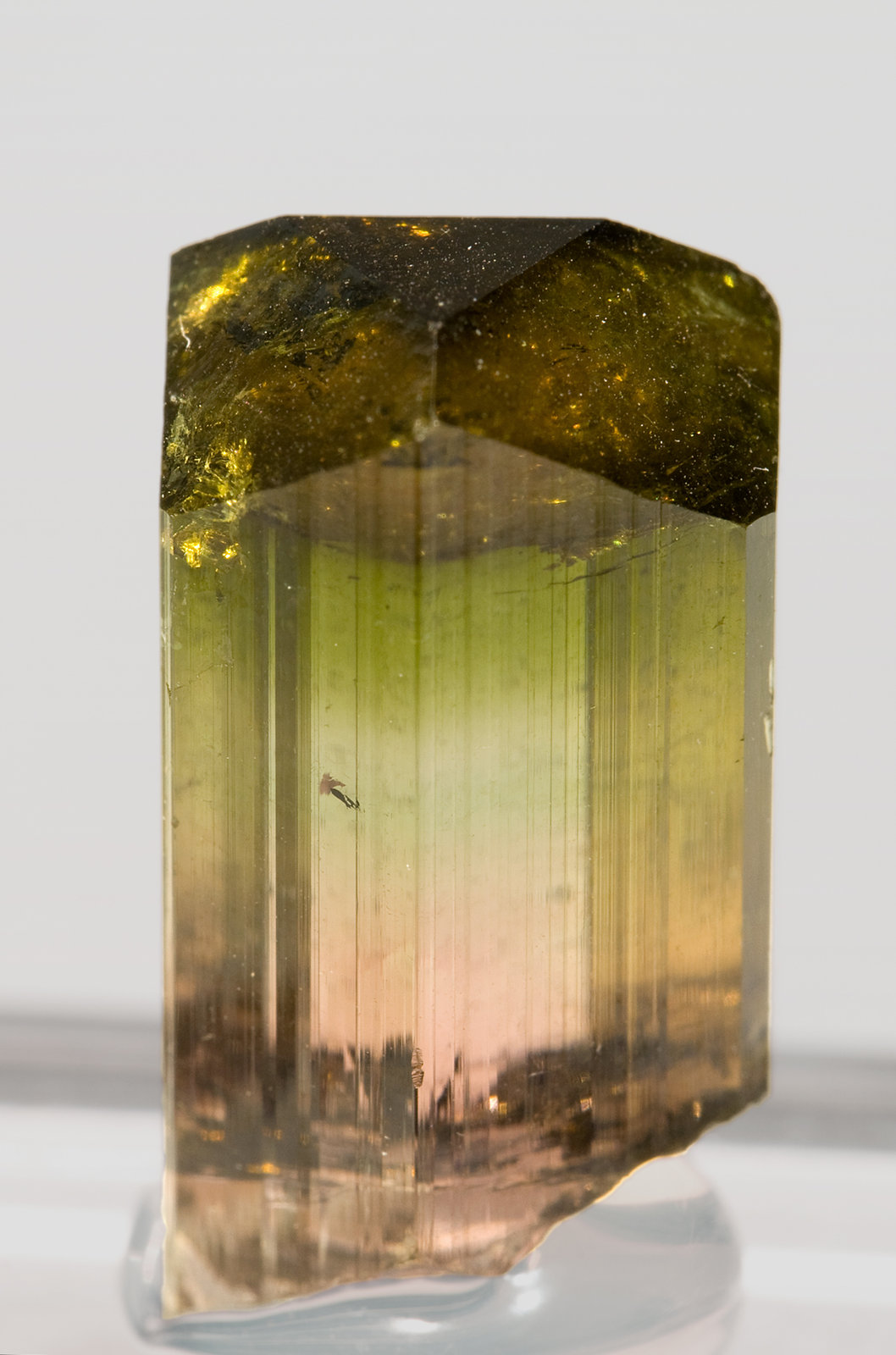 specimens/s_imagesS7/Liddicoatite-TF8S7r.jpg