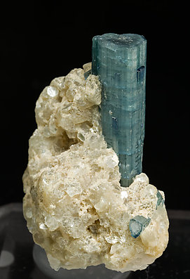 Elbaite (variety indicolite) with Quartz and Muscovite.