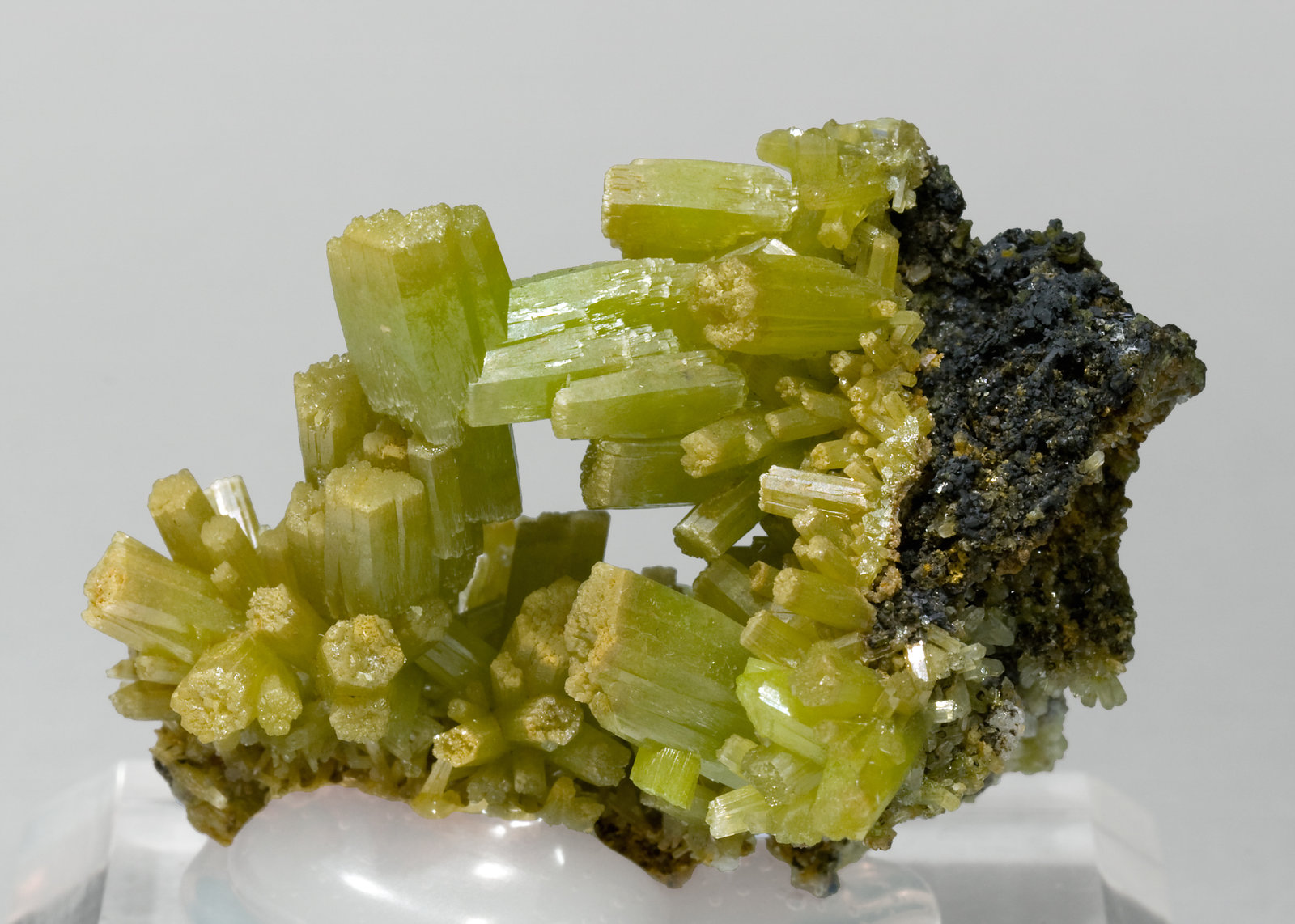 specimens/s_imagesS9/Pyromorphite-TJ87S9r.jpg