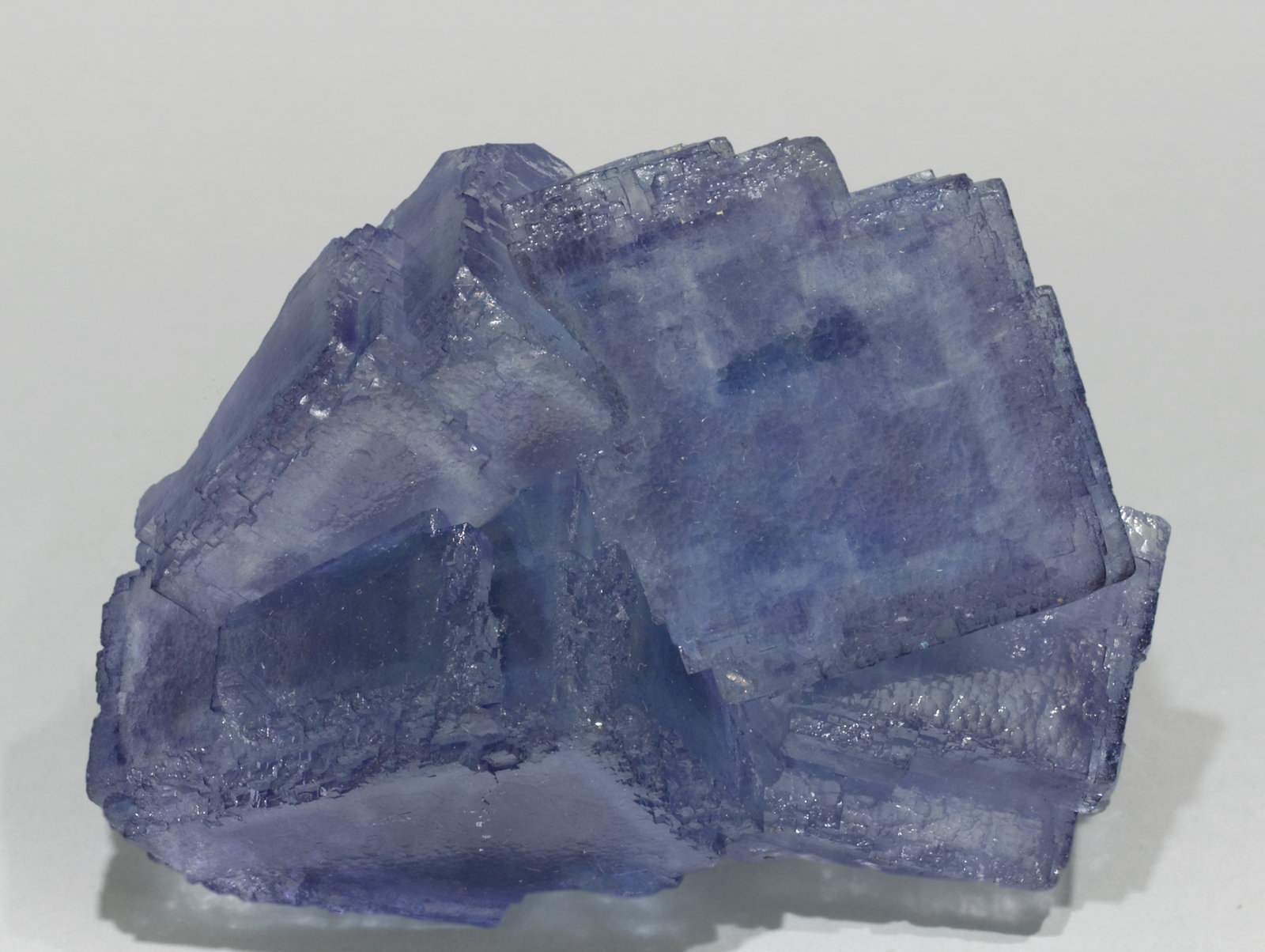 specimens/s_imagesT0/Fluorite-NX68T0.jpg