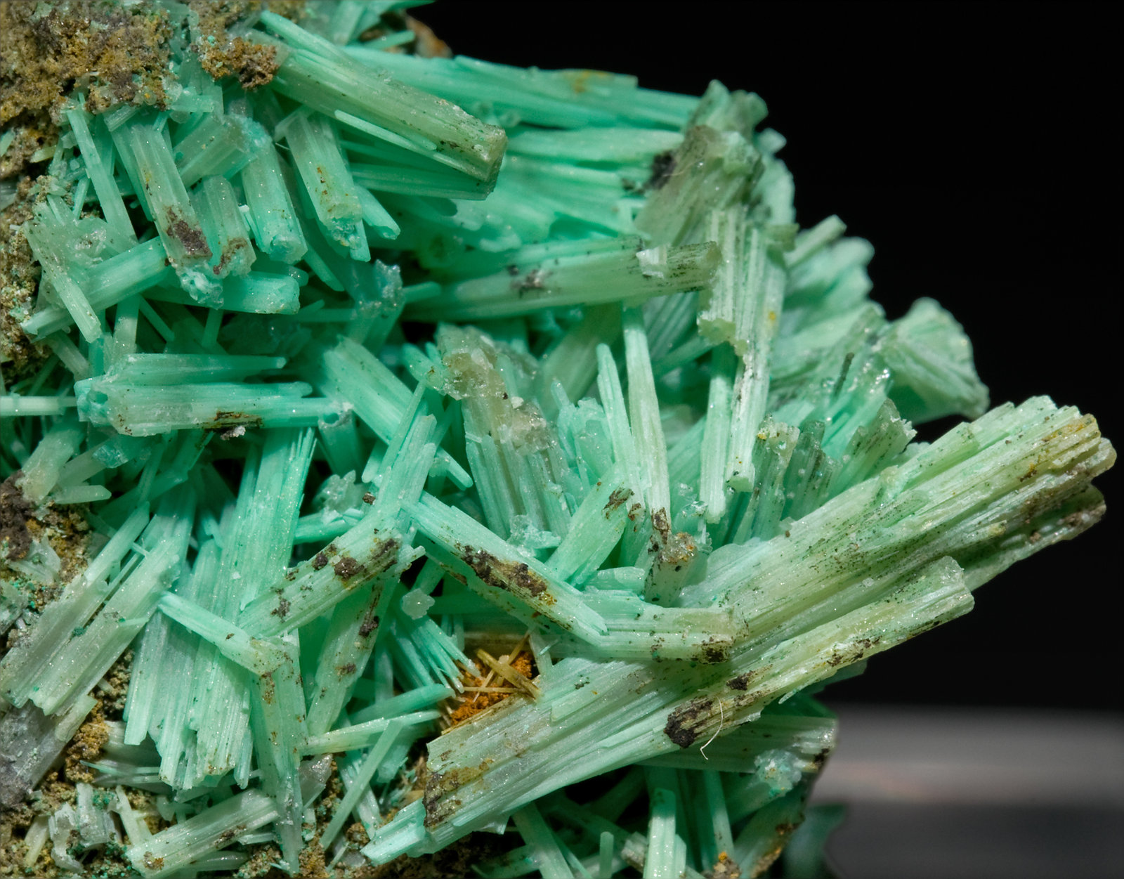 specimens/s_imagesT1/Cerussite-TD27T1d.jpg