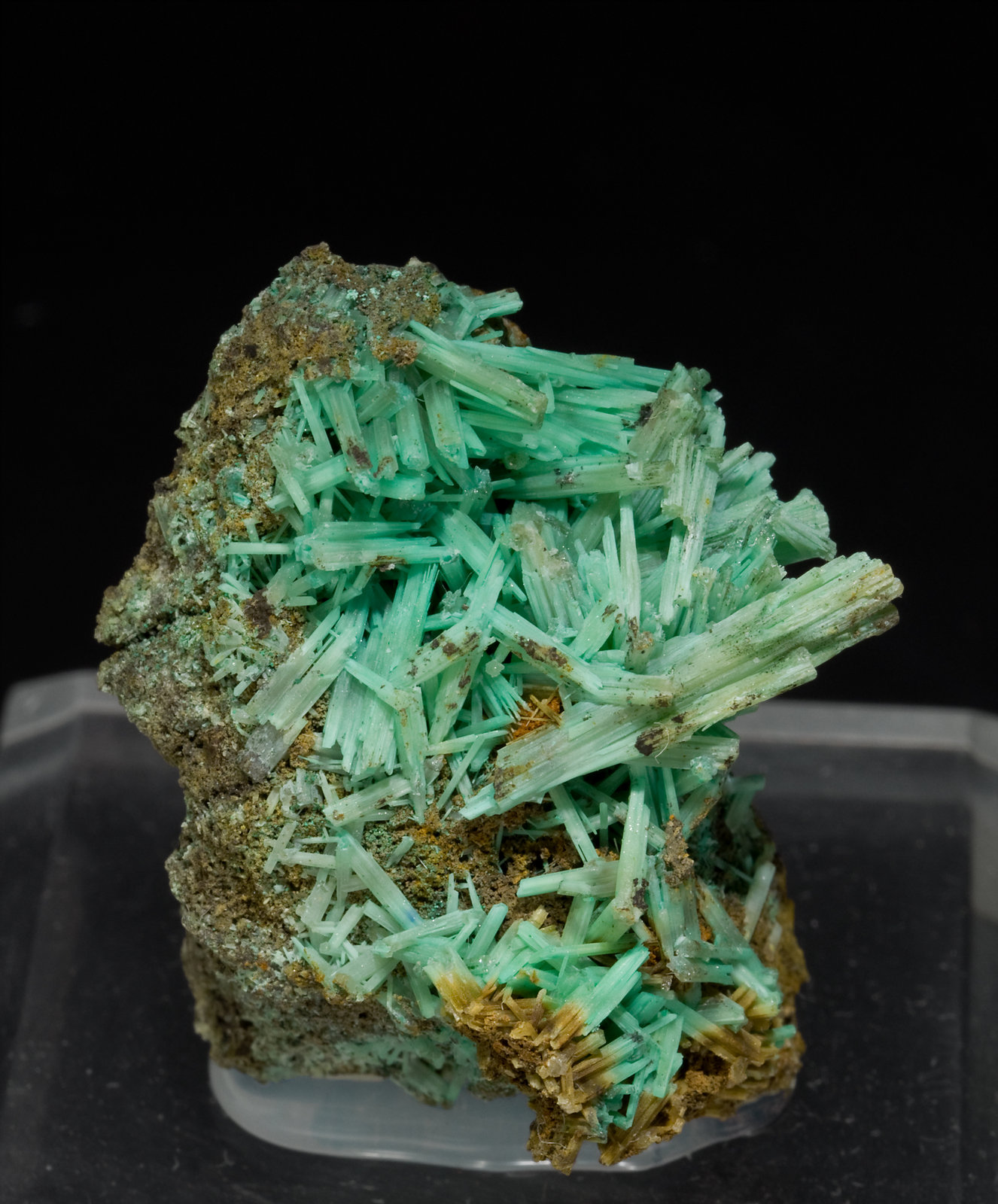 specimens/s_imagesT1/Cerussite-TD27T1f.jpg