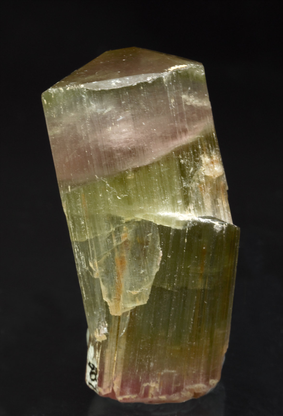 specimens/s_imagesT1/Elbaite-TB58T1f.jpg