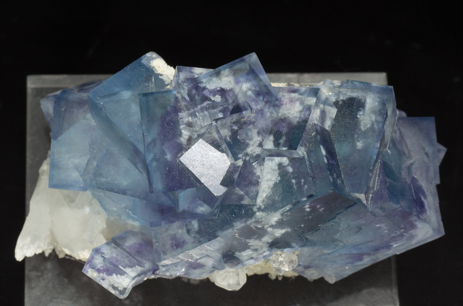 specimens/s_imagesT1/Fluorite-MA86T1t.jpg